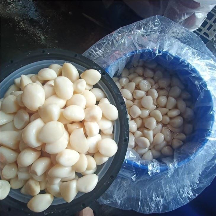 Large And White Salted Garlic